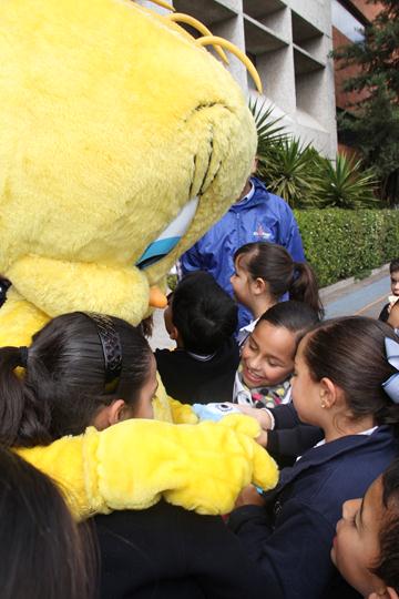 Ir a la Siguiente Foto