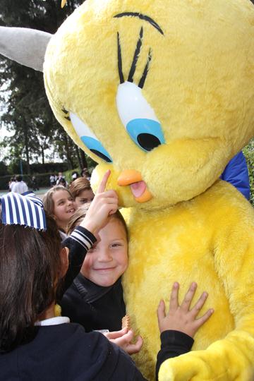 Ir a la Siguiente Foto