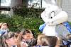 disney_invita_sixflags201629.jpg