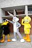disney_invita_sixflags201695.jpg