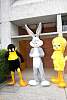 disney_invita_sixflags201697.jpg