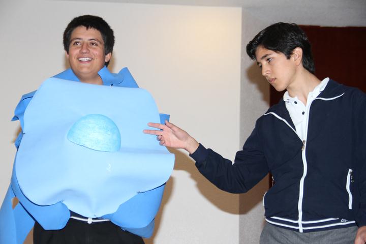 Ir a la Siguiente Foto