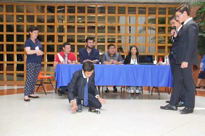 Ir a la Siguiente Foto