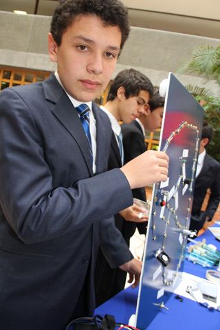 Ir a la Siguiente Foto