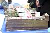 exposicion_sec_fisica2016242.jpg