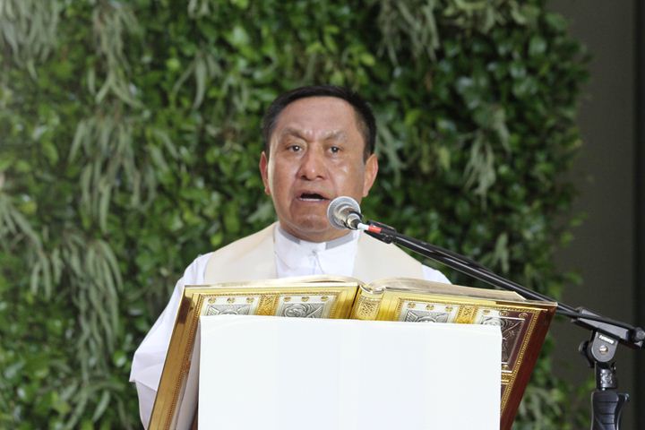 Ir a la Siguiente Foto