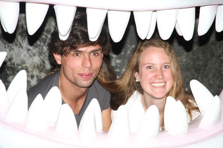 Ir a la Siguiente Foto