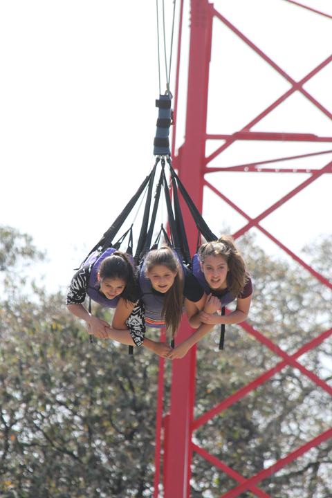 Ir a la Siguiente Foto