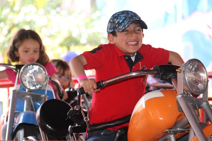 Ir a la Siguiente Foto