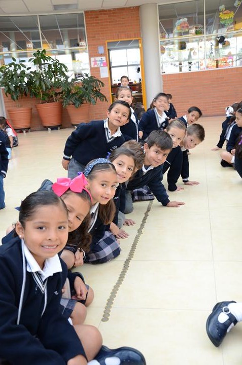 Ir a la Siguiente Foto