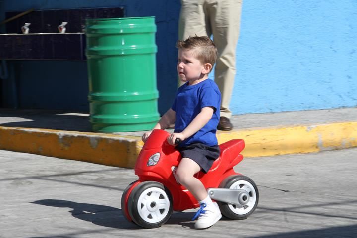 Ir a la Siguiente Foto