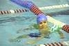 miniolimpiadas2016lunes1477.jpg