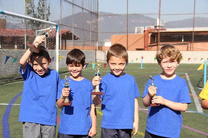 Ir a la Siguiente Foto