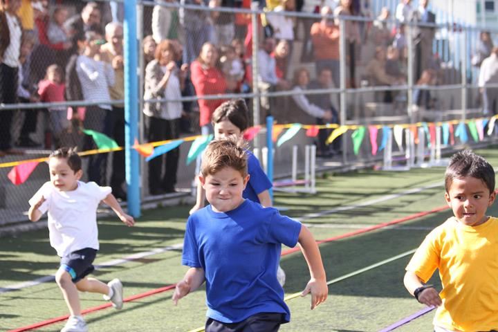 Ir a la Siguiente Foto