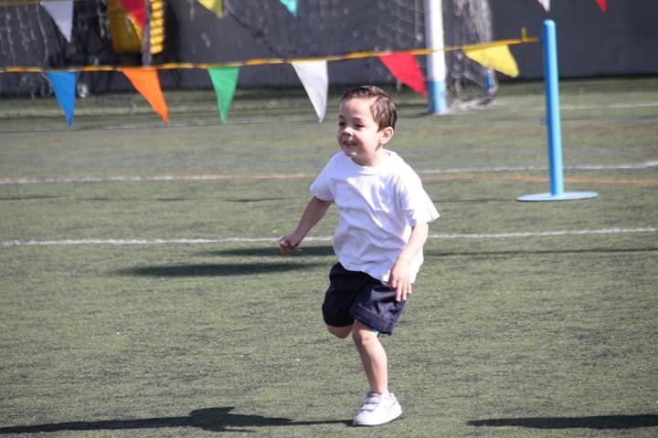 Ir a la Siguiente Foto