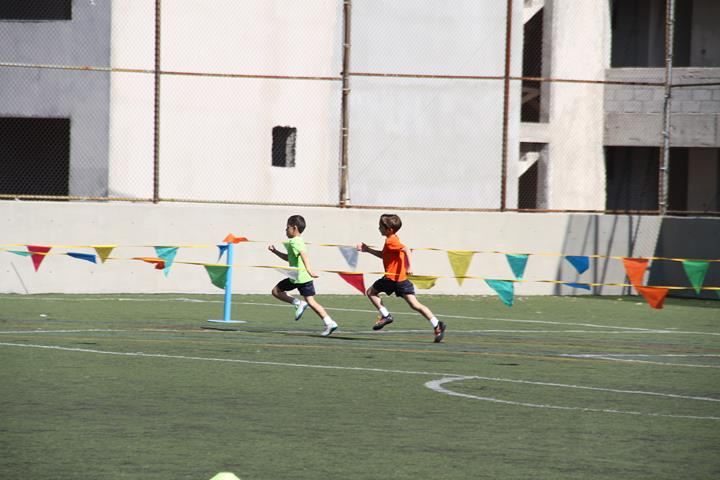 Ir a la Siguiente Foto