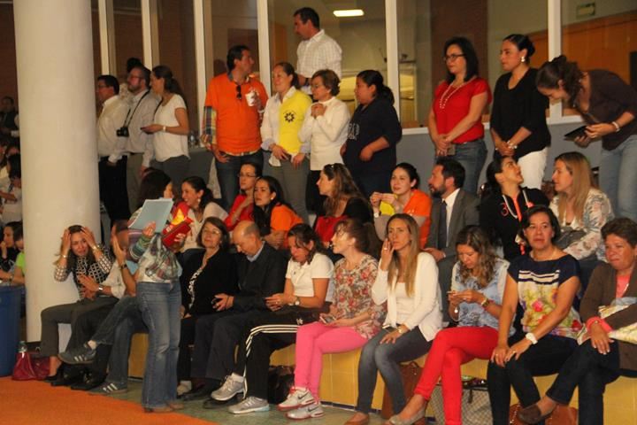 Ir a la Siguiente Foto