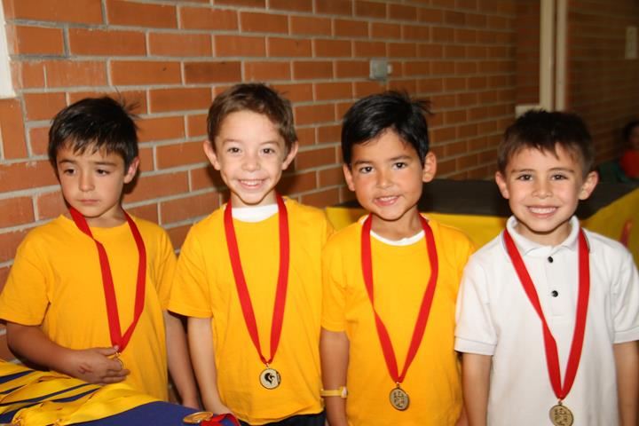 Ir a la Siguiente Foto