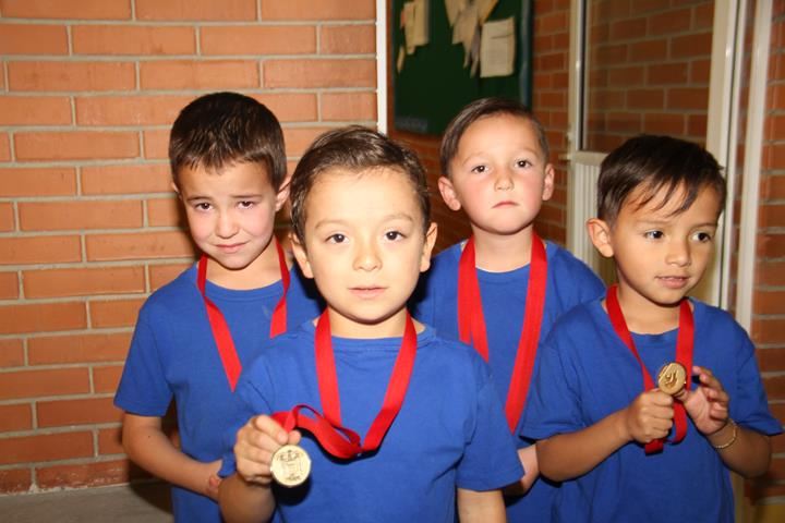 Ir a la Siguiente Foto