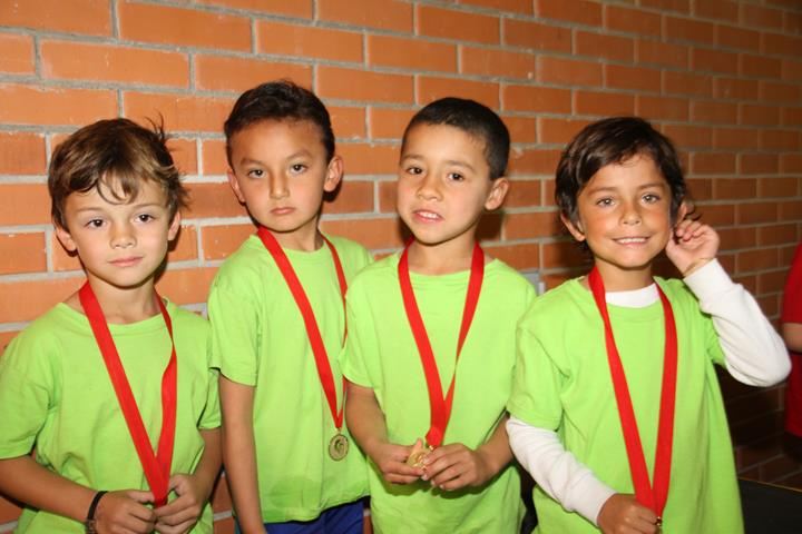 Ir a la Siguiente Foto