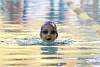 miniolimpiadas2016martes151426.jpg