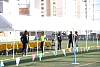 miniolimpiadas2016martes153.jpg