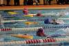 miniolimpiadas2016martes15977.jpg