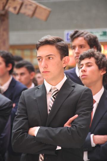 Ir a la Siguiente Foto