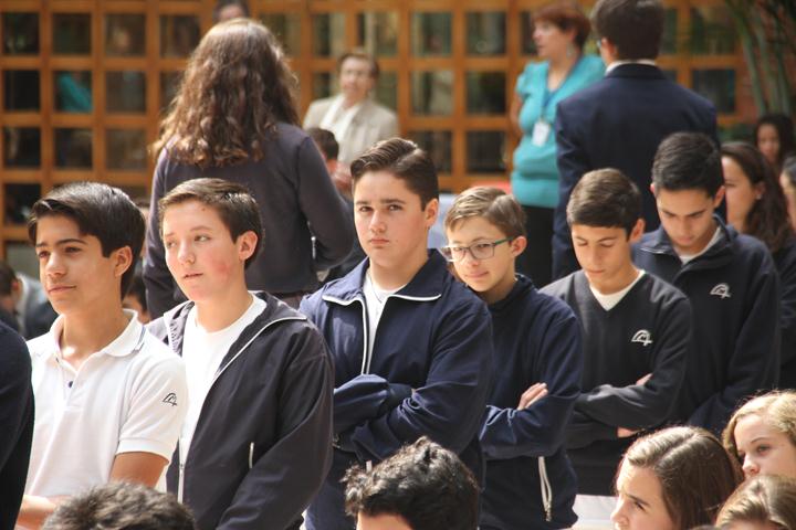 Ir a la Siguiente Foto