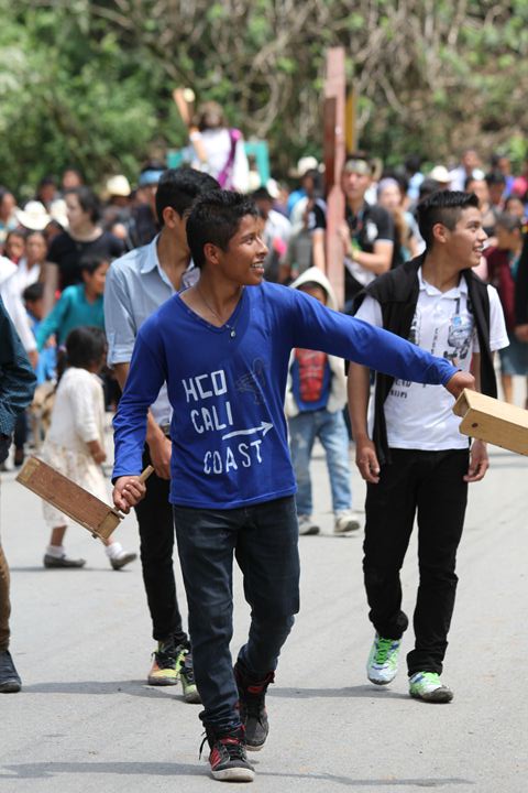 Ir a la Siguiente Foto