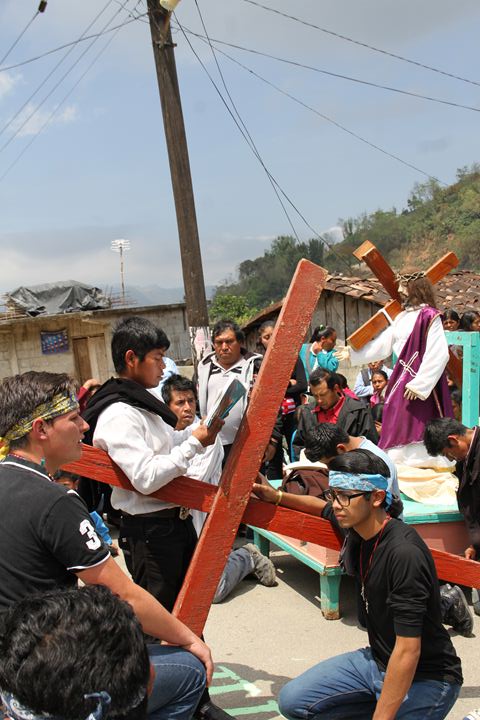 Ir a la Siguiente Foto