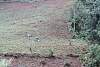 misiones2016903.jpg