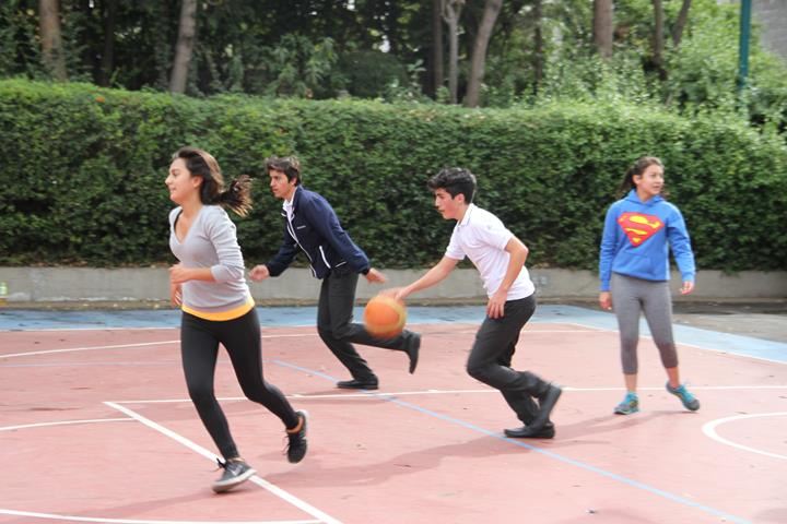 Ir a la Siguiente Foto