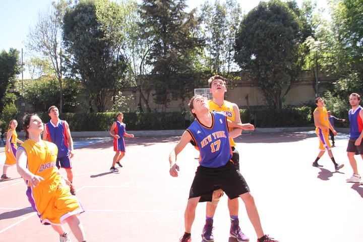 Ir a la Siguiente Foto