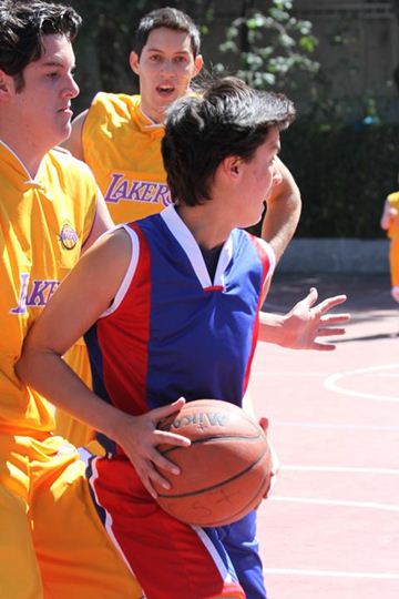 Ir a la Siguiente Foto