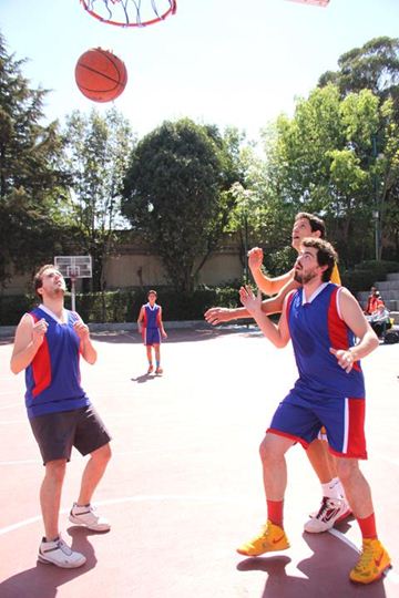 Ir a la Siguiente Foto