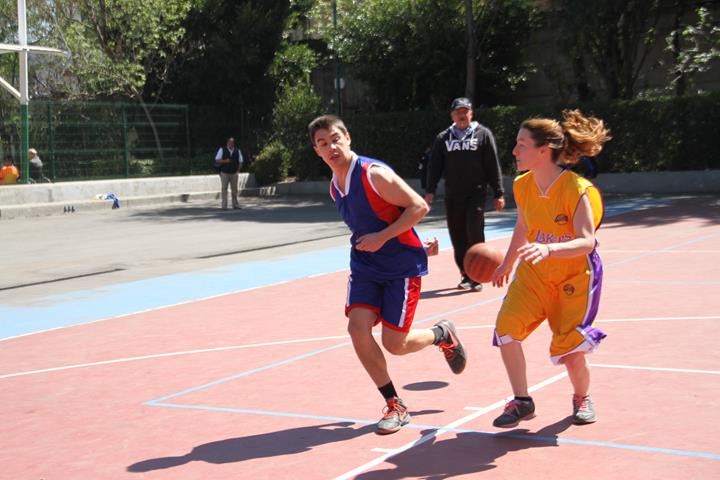 Ir a la Siguiente Foto