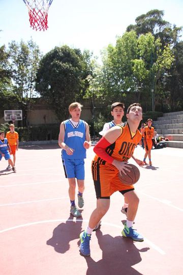 Ir a la Siguiente Foto