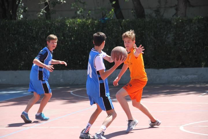 Ir a la Siguiente Foto