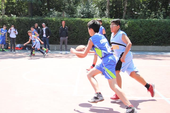 Ir a la Siguiente Foto