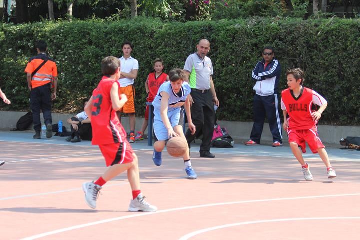 Ir a la Siguiente Foto