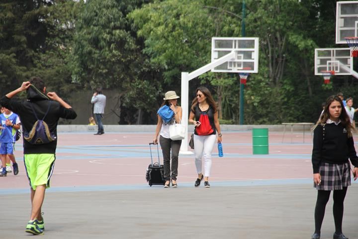 Ir a la Siguiente Foto