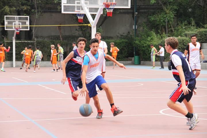 Ir a la Siguiente Foto