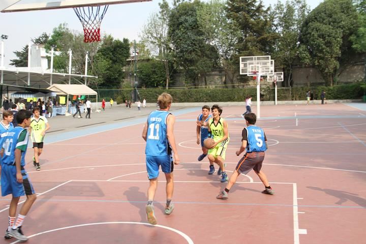 Ir a la Siguiente Foto