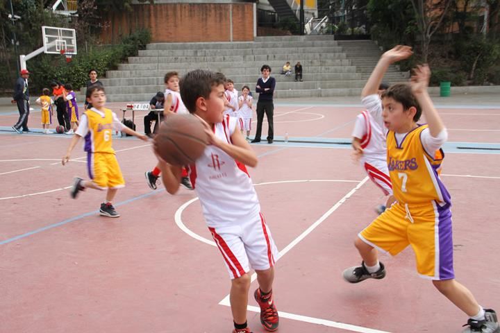 Ir a la Siguiente Foto
