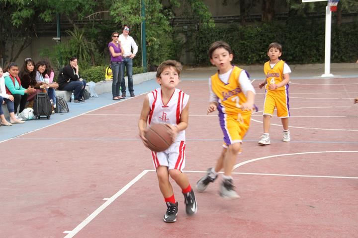 Ir a la Siguiente Foto