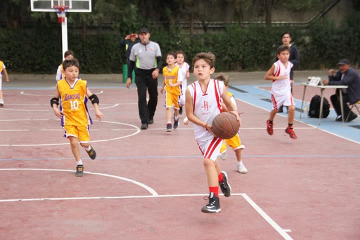 Ir a la Siguiente Foto