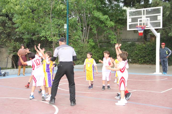 Ir a la Siguiente Foto