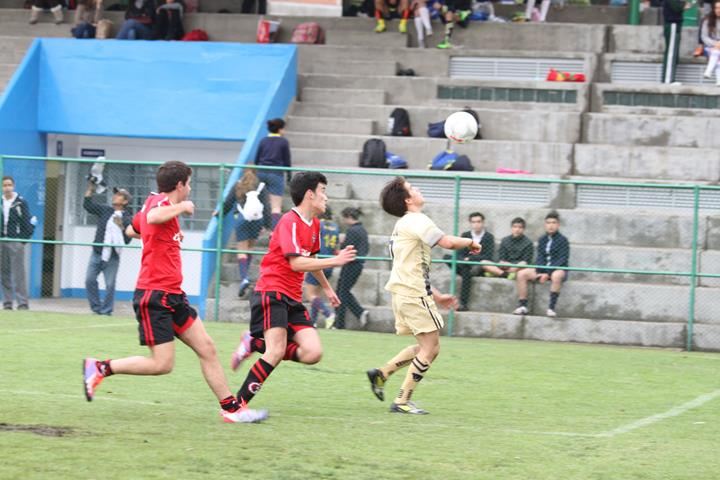 Ir a la Siguiente Foto
