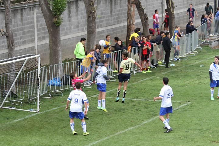 Ir a la Siguiente Foto